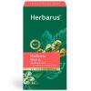 Гербарус Зеленый чай с травами и пряностями "Имбирь и мята", 24 пакетика (Herbarus, Чай с добавками) фото 1