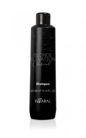 Kaaral Черный угольный тонирующий шампунь для волос Charcoal, 300 мл. фото