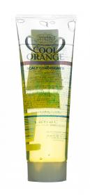 Lebel Кондиционер-очиститель для жирной и склонной к жирности коже головы Cool Orange, 240 г. фото