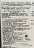 Скворцова Ольга - 5916 - фото 2