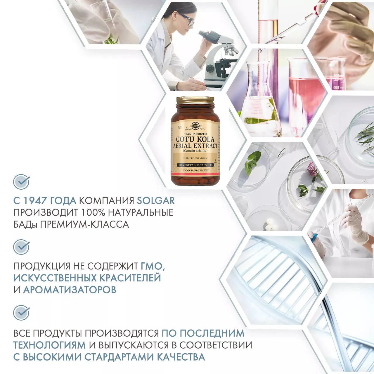 Солгар Экстракт Готу Кола 424 мг, 100 капсул (Solgar, Растения) фото 4