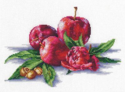 Я03 Яблоки и орешки (Сделай своими руками, Сделай своими руками)