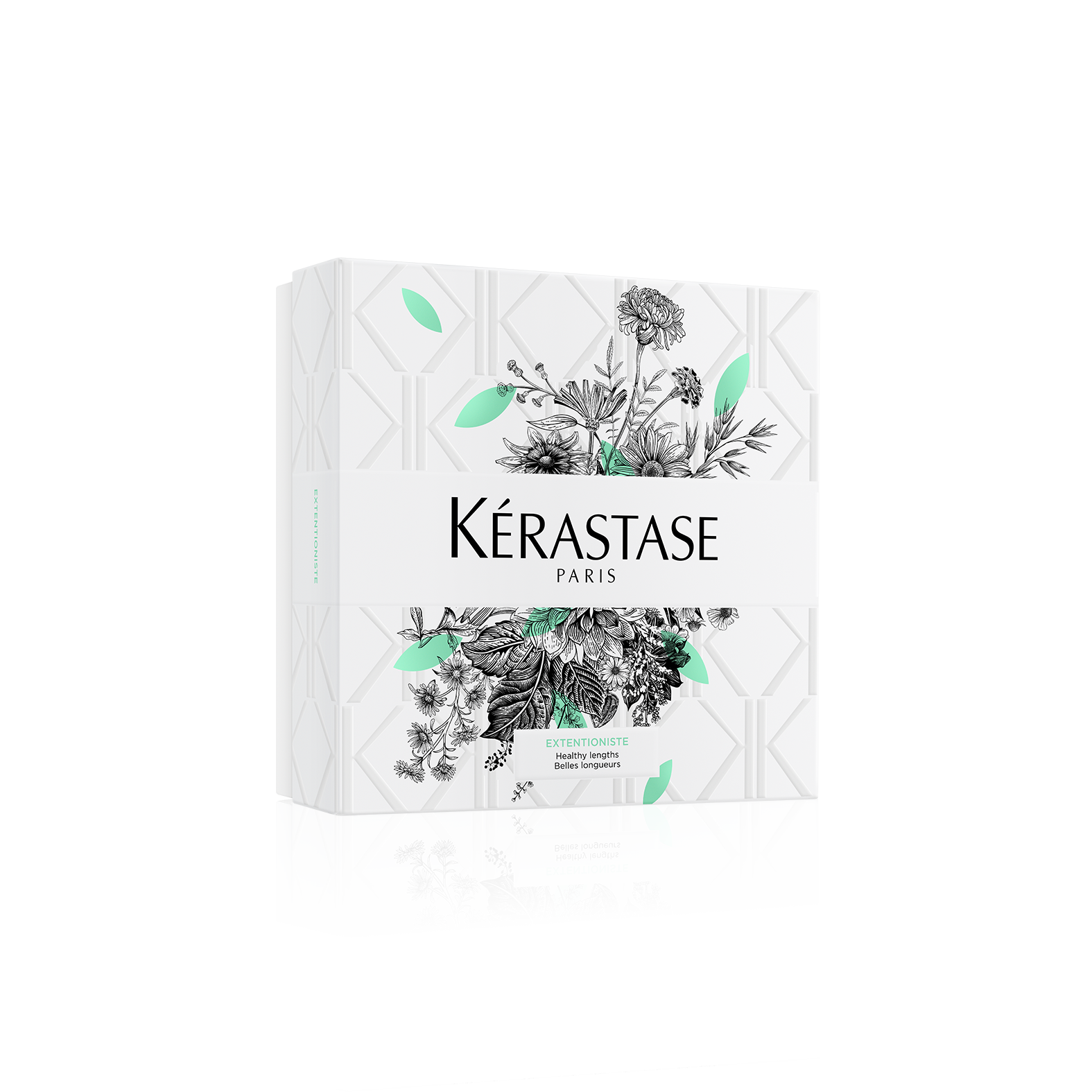 

Kerastase Весенний набор Резистанс Экстенционист: Шампунь-Ванна 250 мл + Резистанс Экстенционист Молочко 200 мл (Kerastase, Resistance Extentioniste), Resistance Extentioniste