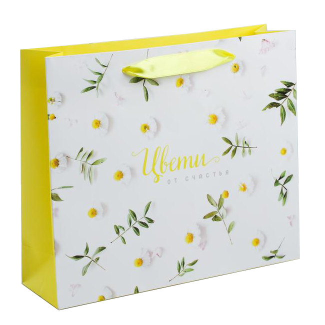  Пакет ламинированный горизонтальный «Цвети от счастья» ML 27 × 23 × 11,5 см (Подарочная упаковка, Пакеты) фото 0