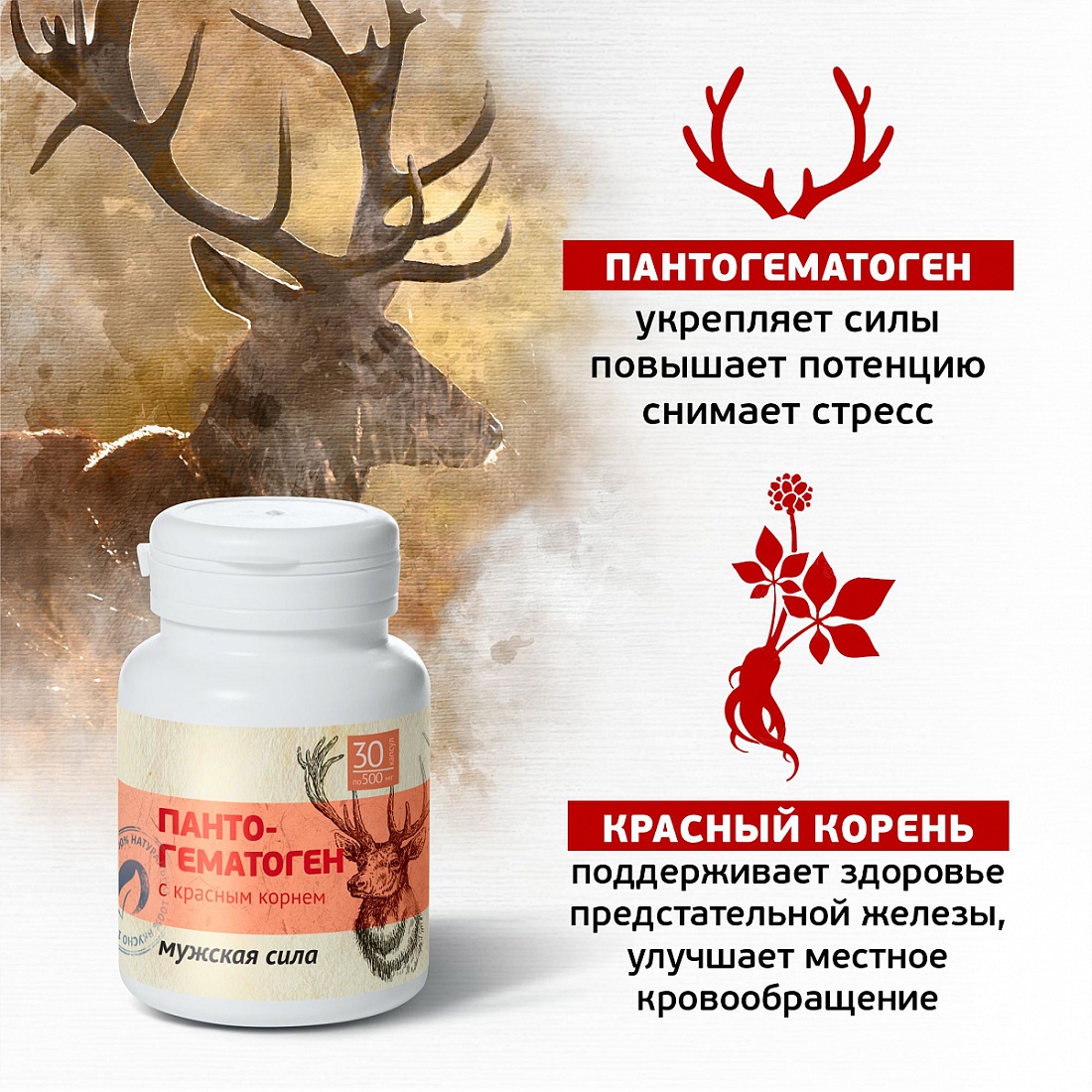  Пантогематоген с красным корнем 
