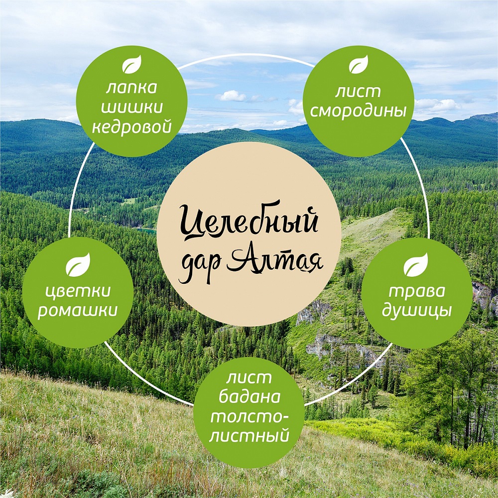  Травяной чай с кедровой шишкой, 80 г (Алтэя, Травяные чаи) фото 4