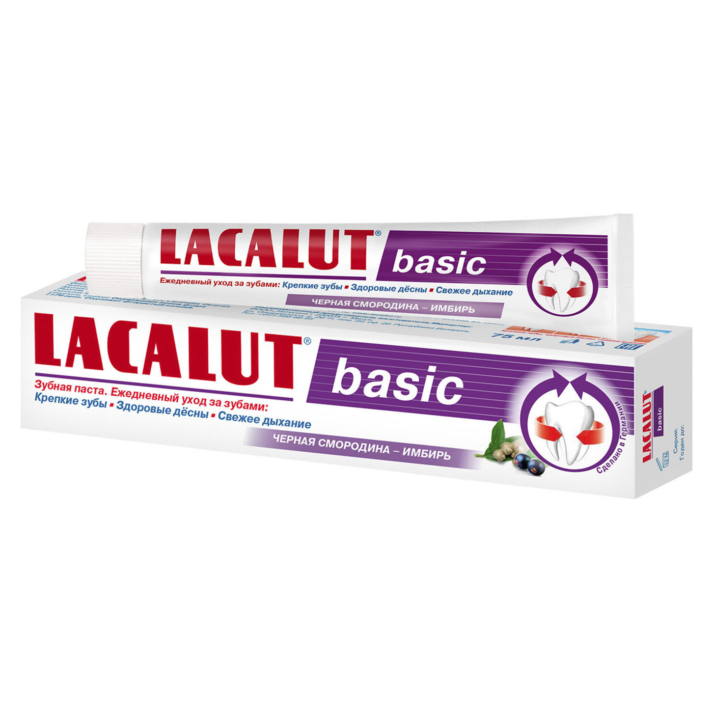 Лакалют Зубная паста Бейсик черная смородина-имбирь (Lacalut, Зубные пасты) фото 0