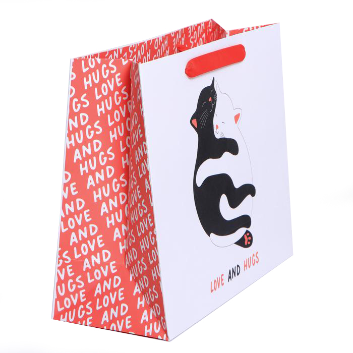 Пакет ламинированный «Обнимашки» ML 23 × 27 × 11,5 см (Подарочная упаковка, Пакеты) фото 1