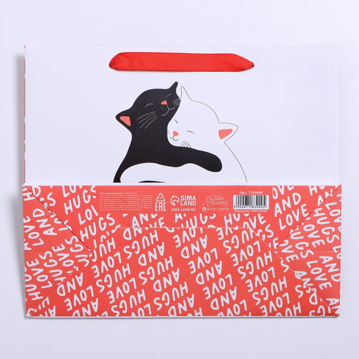  Пакет ламинированный «Обнимашки» ML 23 × 27 × 11,5 см (Подарочная упаковка, Пакеты) фото 2