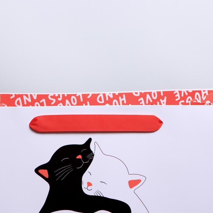  Пакет ламинированный «Обнимашки» ML 23 × 27 × 11,5 см (Подарочная упаковка, Пакеты) фото 3