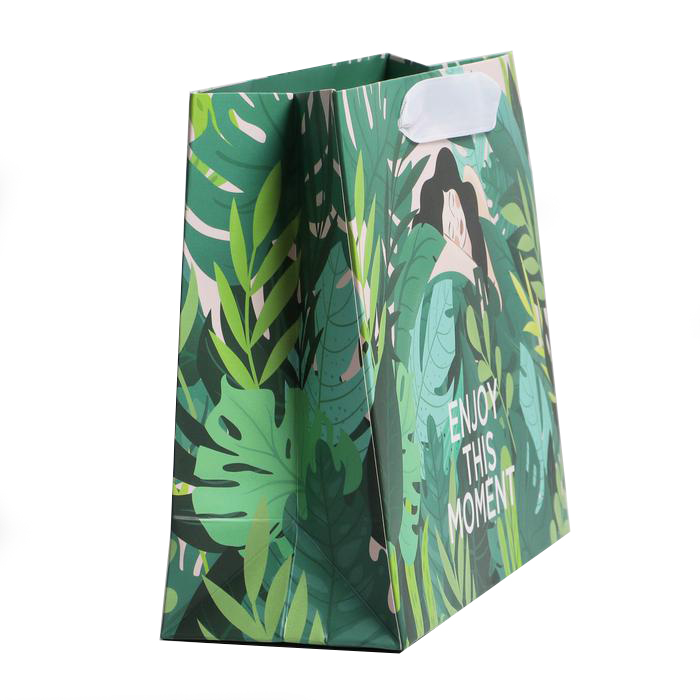  Пакет ламинированный «Момент» 22 × 17,5 × 8 см (Подарочная упаковка, Пакеты) фото 1