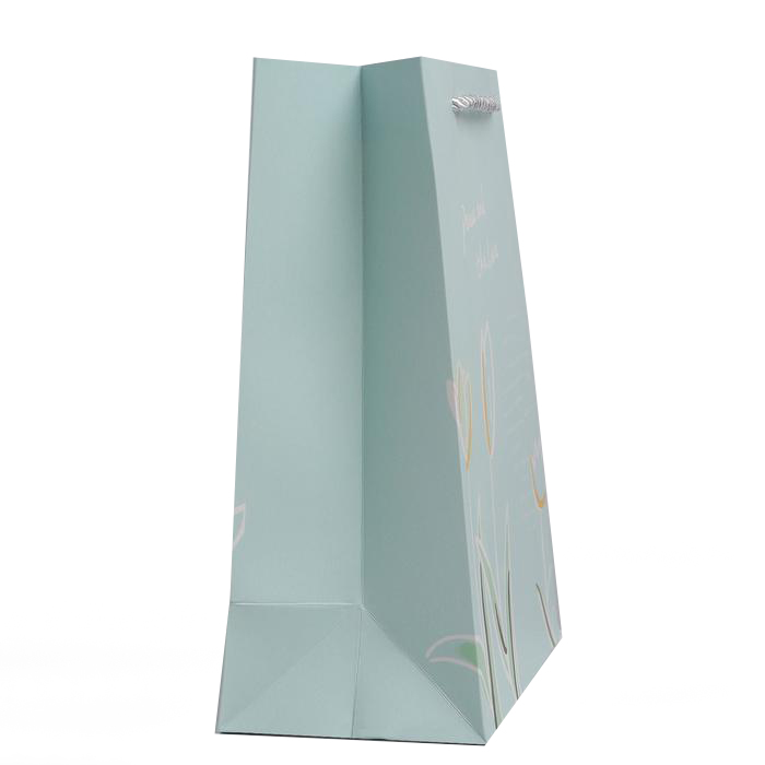  Пакет «Зелёные тюльпаны» 21 х 25 х 10 см (Подарочная упаковка, Пакеты) фото 1