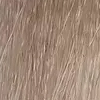 9.1 9A Очень светлый пепельный блонд