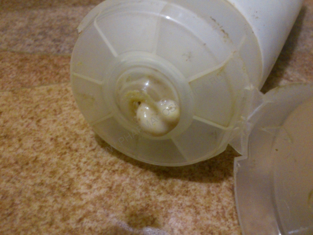 Клиппер Зеленый чай с Гинкго (Clipper, Green Tea) фото 2