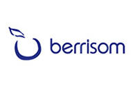 Беррисом Маска для лица с желе сужающая поры Berrisom water Bomb Jelly mask - Pore care 33 мл (Berrisom, Jelly mask) фото 274861
