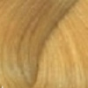 9/3 Очень светлый блондин золотистый