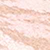 010 Silver Rose