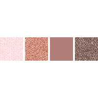 010 Clean Transparency