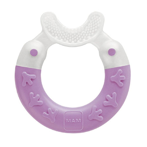 Bite & Brush Прорезыватель для зубов 3+ месяцев Фиолетовый (Уход за полостью рта и прорезыватели для зубов)