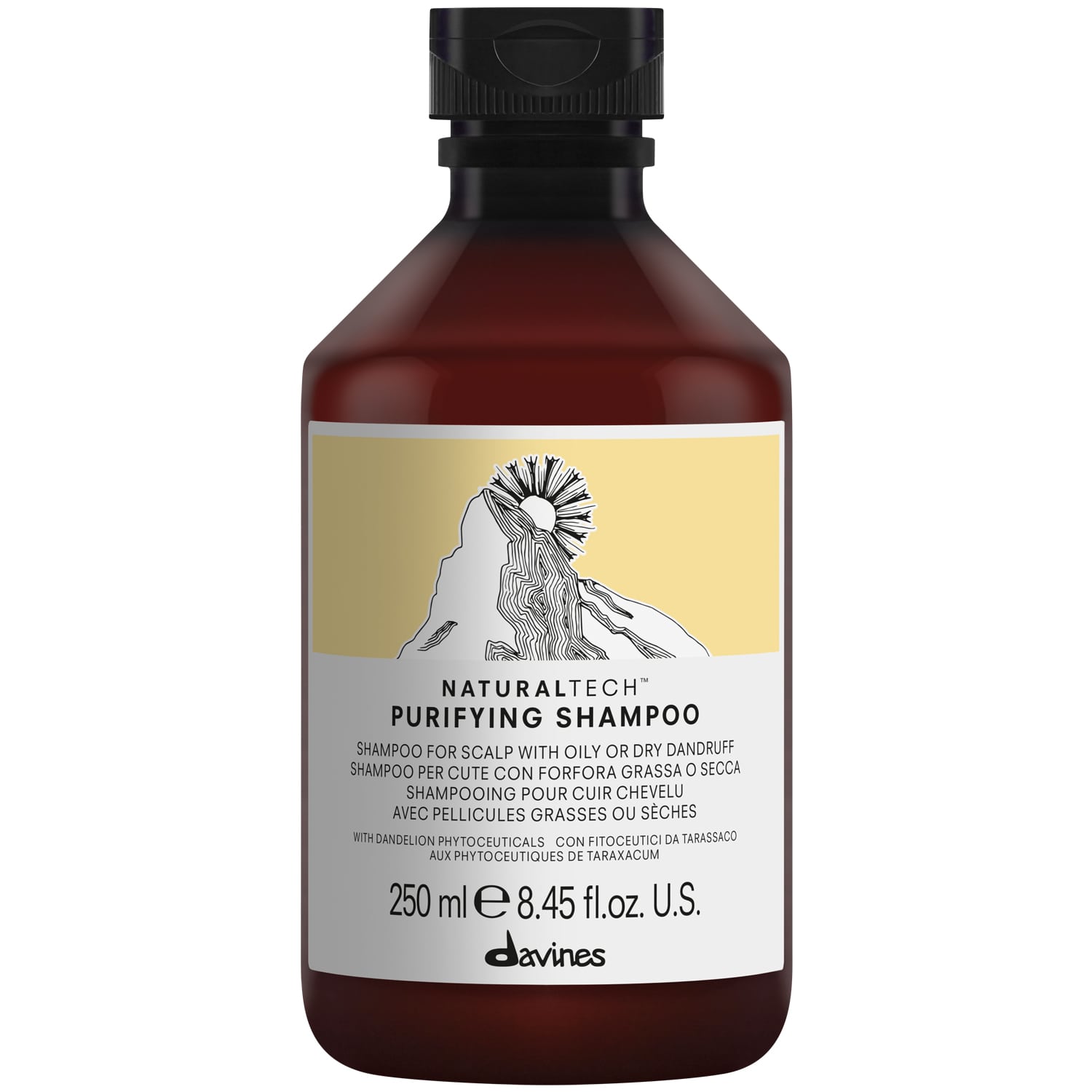 Давинес Очищающий шампунь против перхоти, 250 мл (Davines, Natural Tech) фото 0