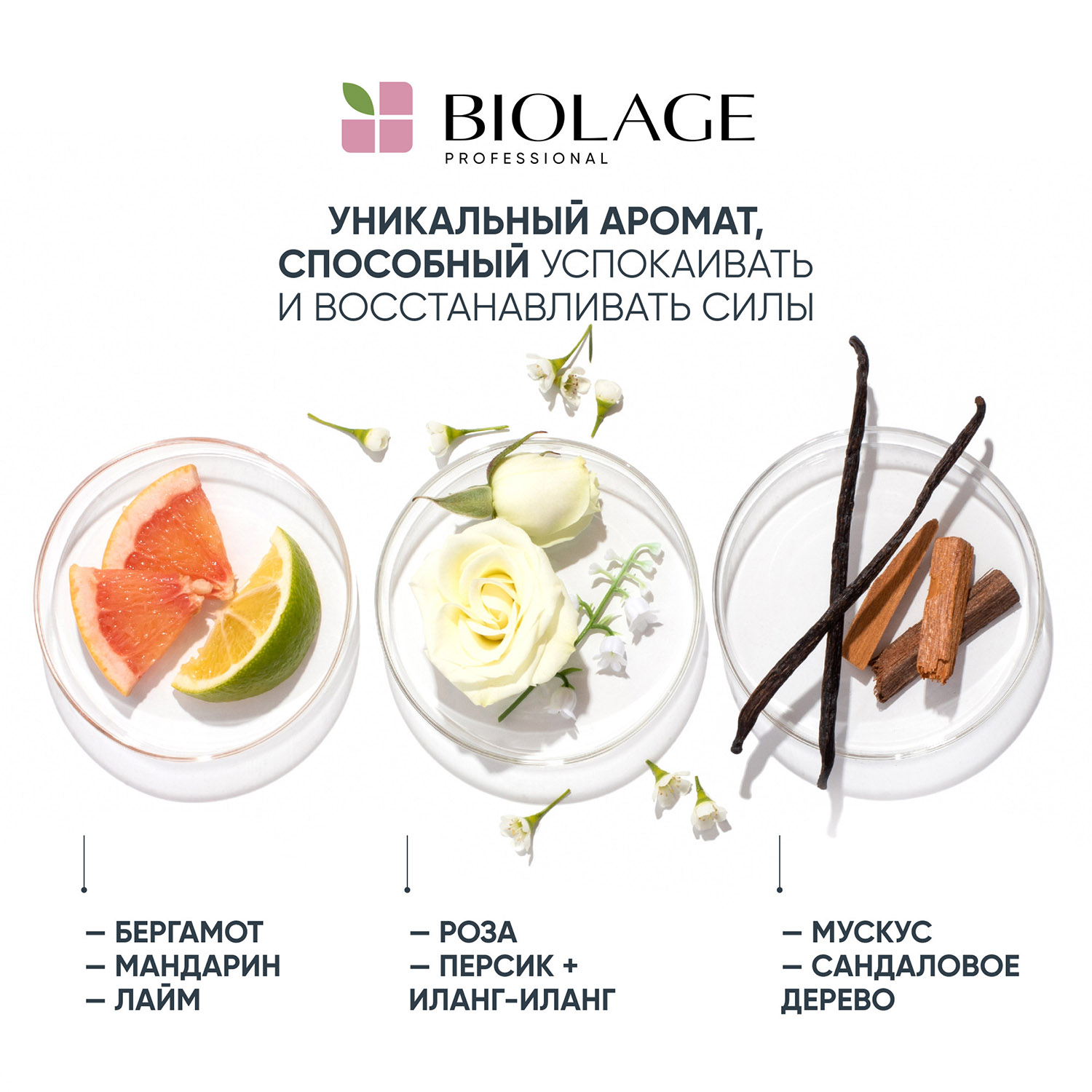 Матрикс Кондиционер для окрашенных волос, 200 мл (Matrix, Biolage) Матрикс Кондиционер для окрашенных волос, 200 мл (Matrix, Biolage) фото 7