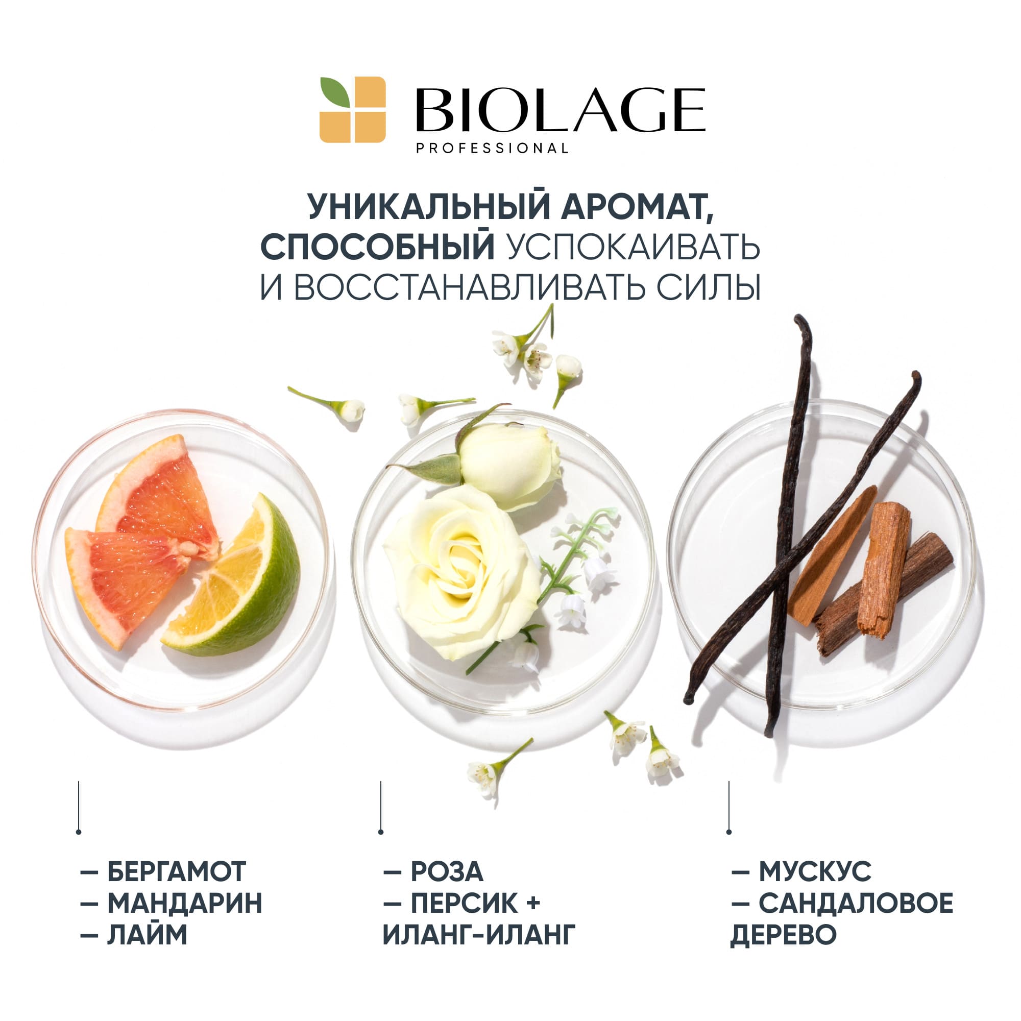 Матрикс Шампунь Biolage Smoothproof для придания гладкости, 250 мл (Matrix, Biolage) Матрикс Шампунь Biolage Smoothproof для придания гладкости, 250 мл (Matrix, Biolage) фото 2