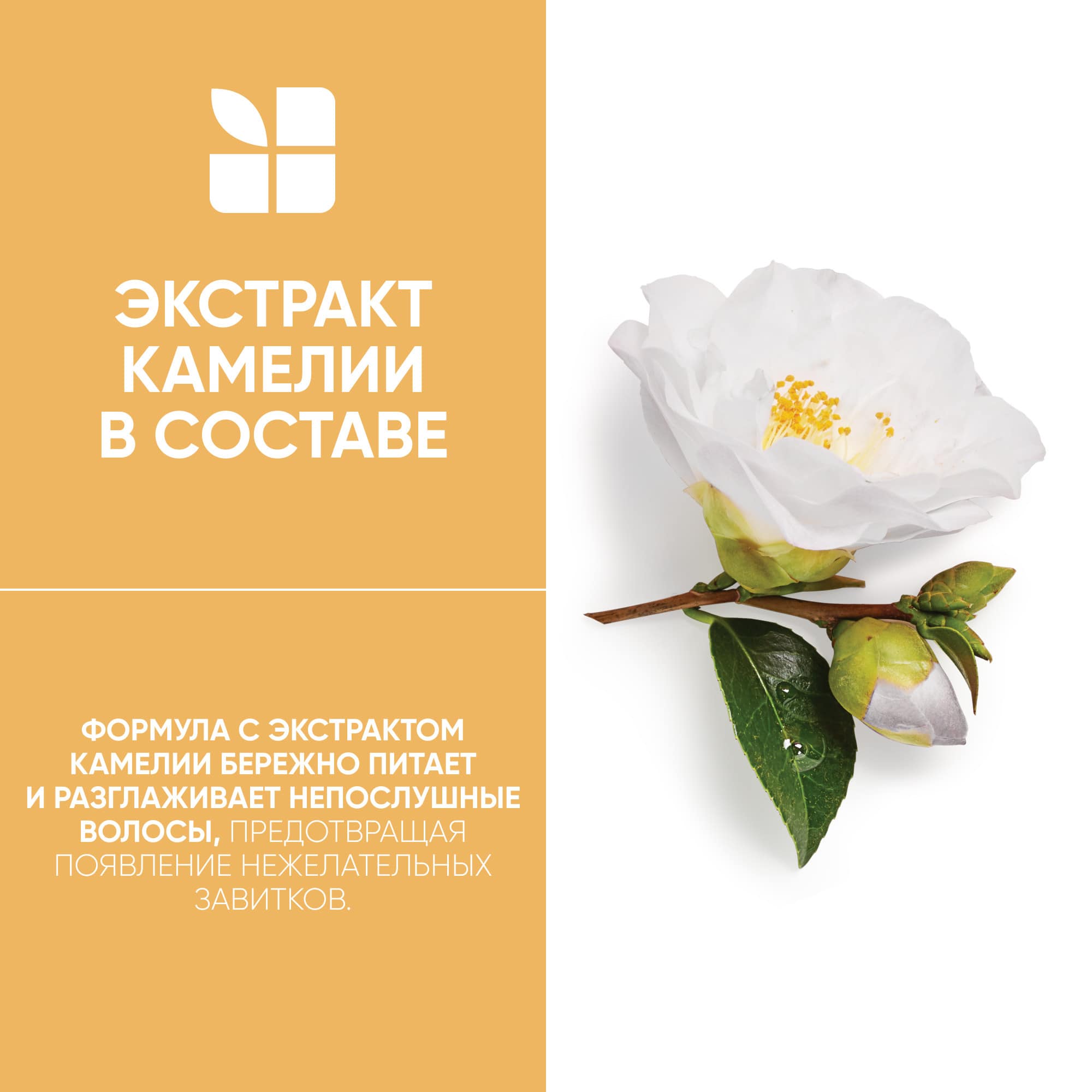 Матрикс Шампунь Biolage Smoothproof для придания гладкости, 250 мл (Matrix, Biolage) Матрикс Шампунь Biolage Smoothproof для придания гладкости, 250 мл (Matrix, Biolage) фото 7