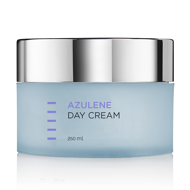 Holyland Laboratories Дневной крем для лица Azulen Day Cream, 250 мл (Holyland Laboratories, Azulen) holyland laboratories крем для комбинированной и проблемной кожи noxil cream 250 мл holyland laboratories creams