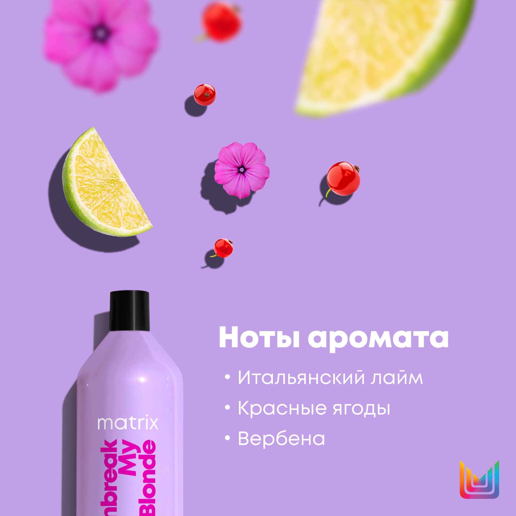 Матрикс Укрепляющий кондиционер для осветленных волос, 1000 мл (Matrix, Unbreak My Blonde) фото 8