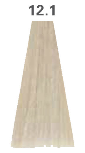 12.1