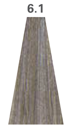 6.1