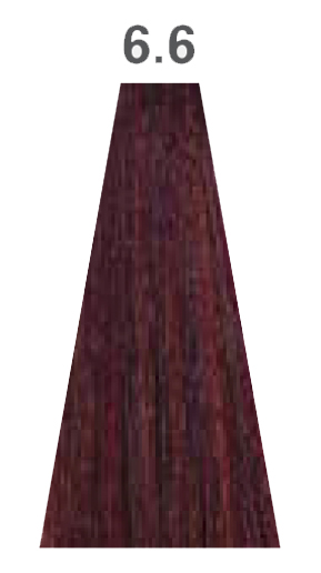 6.6
