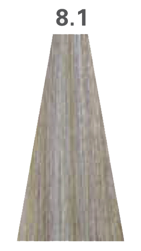 8.1