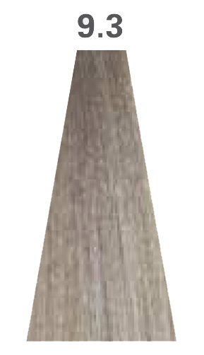 9.3