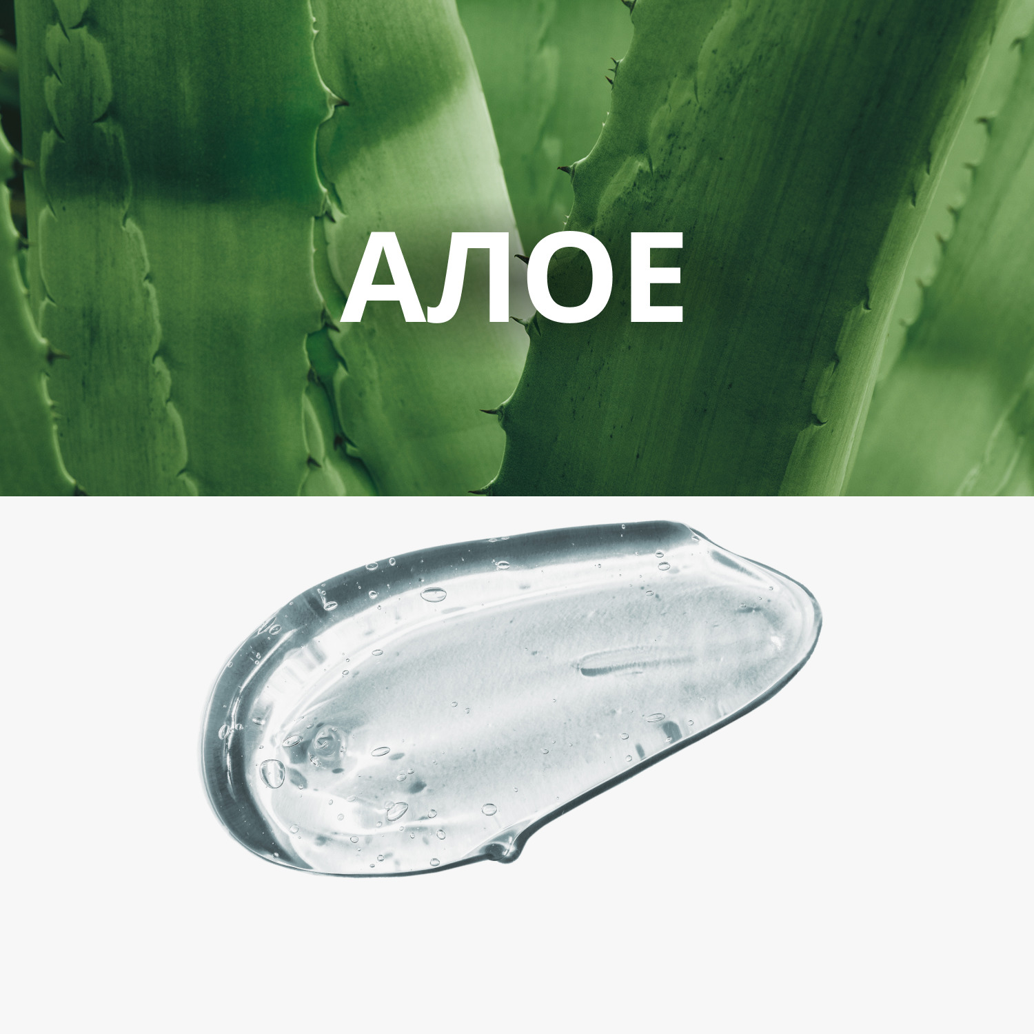 Миша Увлажняющая маска для лица Pure Source Pocket Pack Aloe, 10 мл (Missha, Маски) Миша Увлажняющая маска для лица Pure Source Pocket Pack Aloe, 10 мл (Missha, Маски) фото 2
