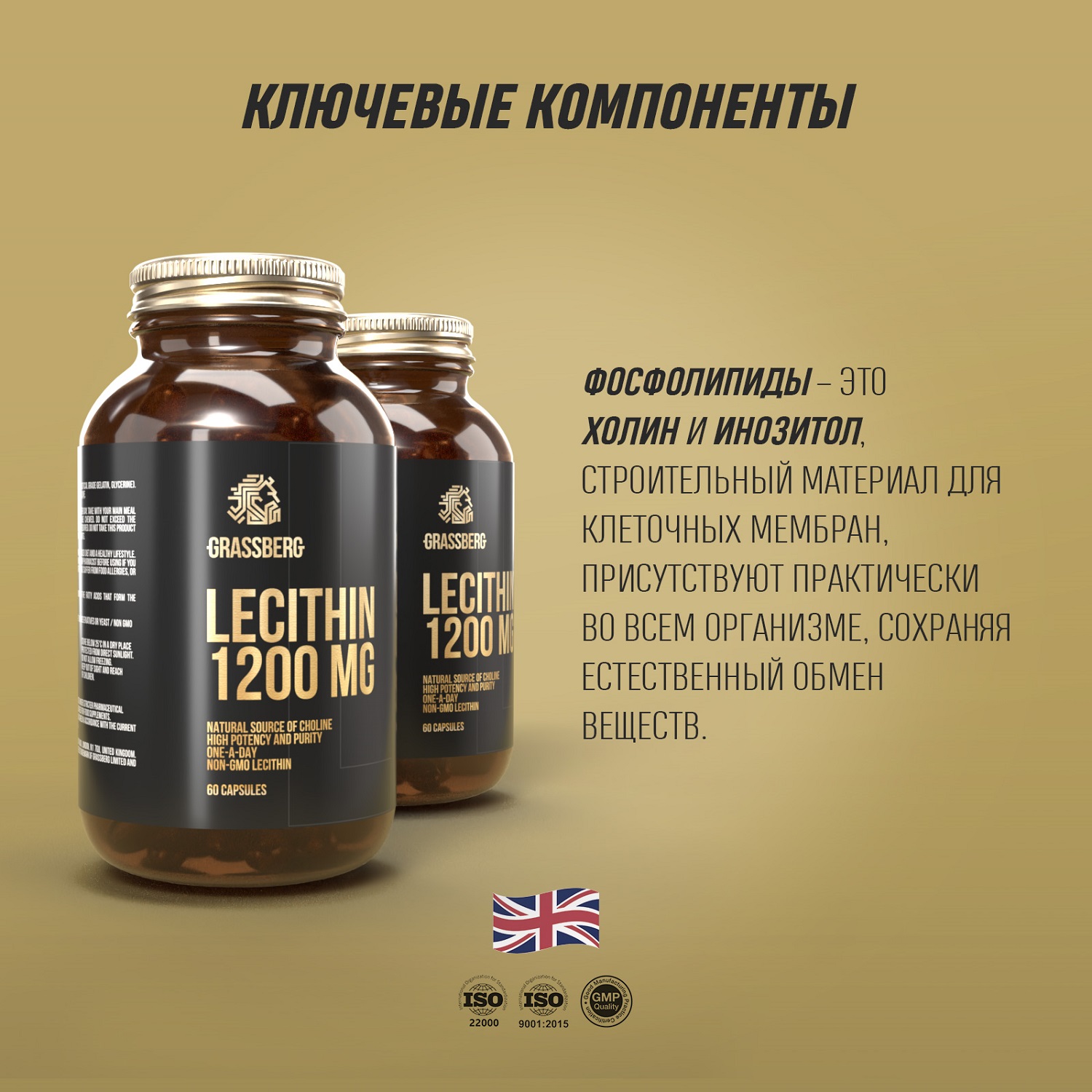 Грасберг Биологически активная добавка к пище Lecithin 1200 мг, 60 капсул (Grassberg, Специальные добавки) фото 4