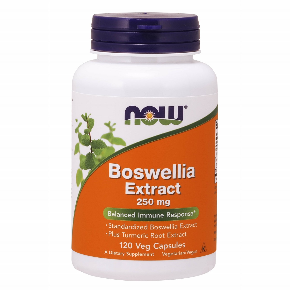 Купить Now Foods Экстракт босвеллии 250 мг, 120 капсул (Now Foods, Растительные продукты), США