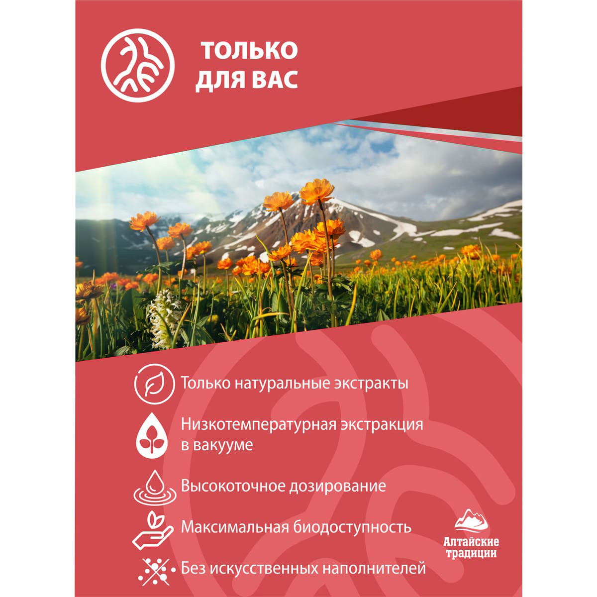  Концентрат 