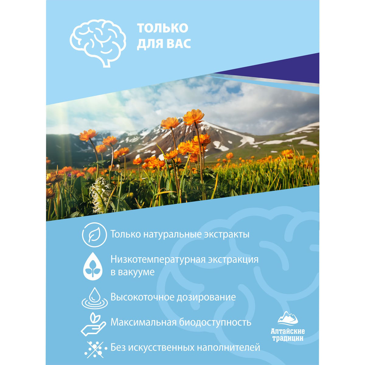  Концентрат 