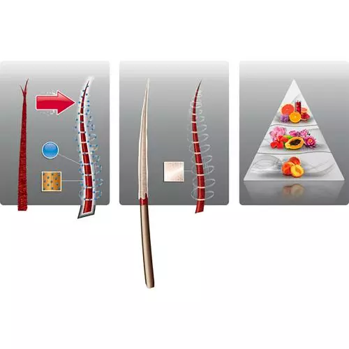 Велла Профессионал Интенсивный восстанавливающий шампунь, 250 мл (Wella Professionals, Уход за волосами) фото 2