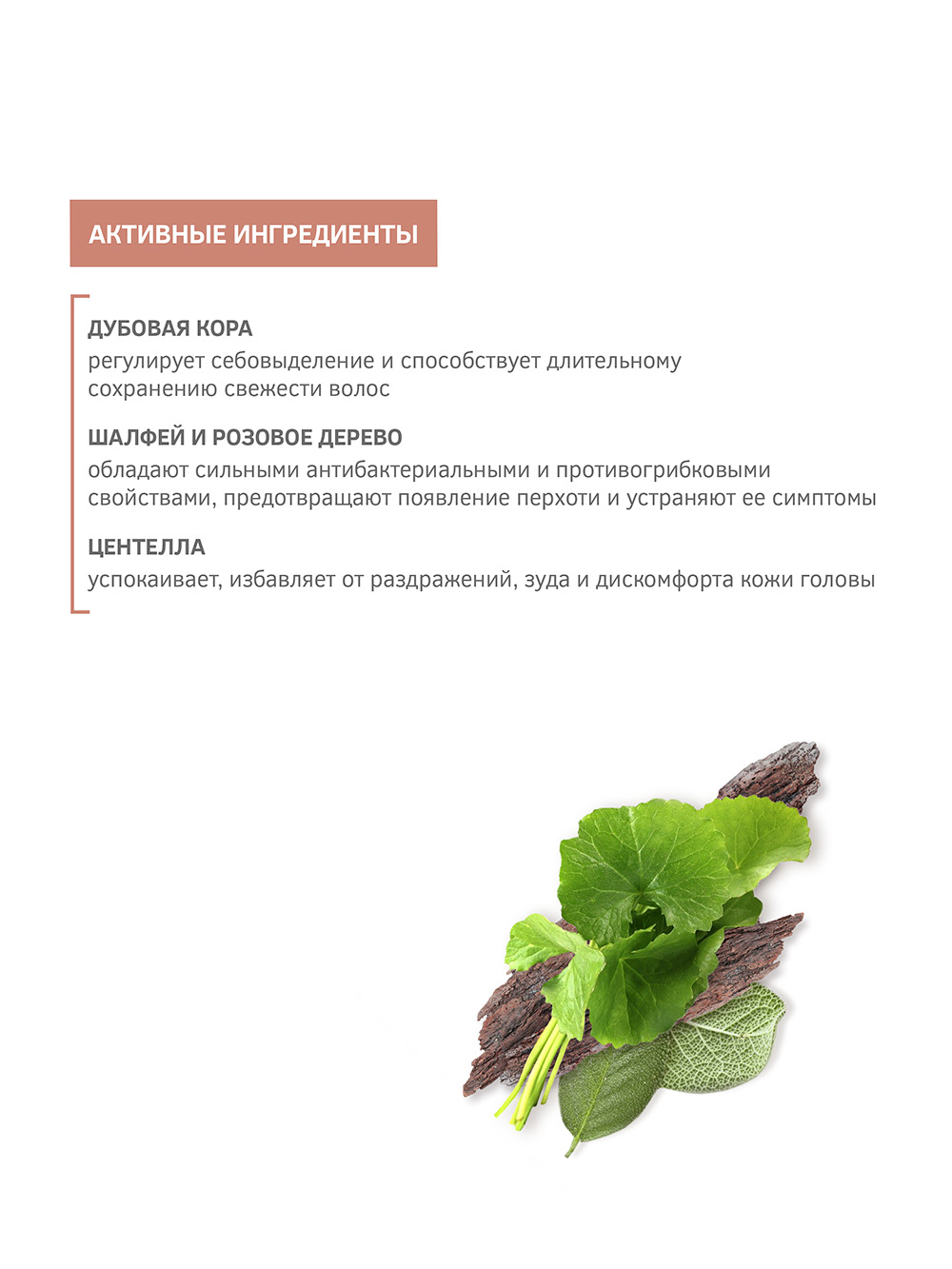 Зейтун Балансирующий шампунь от перхоти с  шалфеем и розовым деревом для мужчин, 250 мл (Zeitun, Men's Collection) фото 3