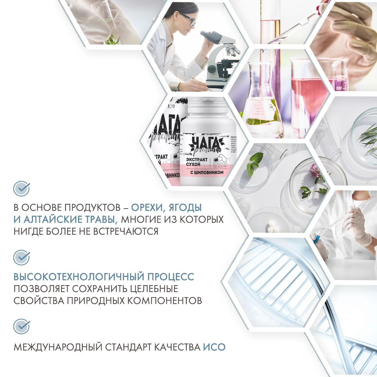  Экстракт чаги с шиповником, 60 капсул х 500 мг (Алтэя, Комплексы витаминов) фото 4