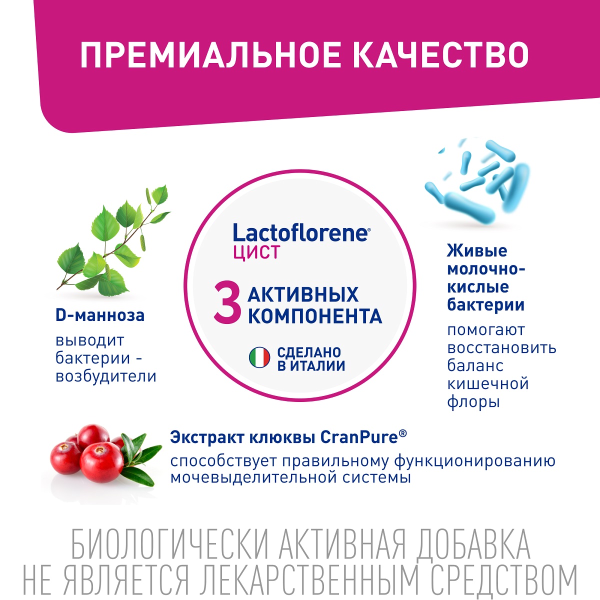 Лактофлорене Пробиотический комплекс Цист, 20 пакетиков (Lactoflorene, ) Лактофлорене Пробиотический комплекс Цист, 20 пакетиков (Lactoflorene, ) фото 3