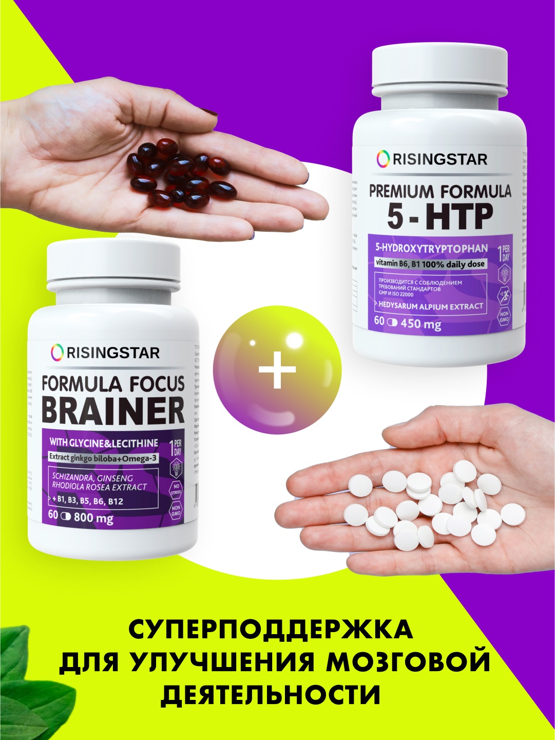 Рисингстар Комплекс 