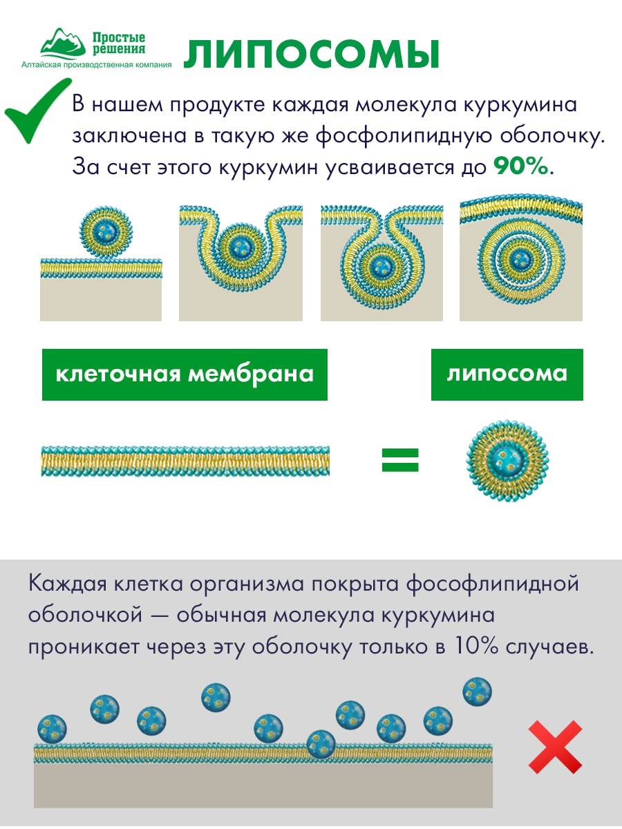 Комплекс для печени с силимарином, 60 капсул (Алтайские традиции, Nutricare Liposomal Curcumin)  Комплекс для печени с силимарином, 60 капсул (Алтайские традиции, Nutricare Liposomal Curcumin) фото 8