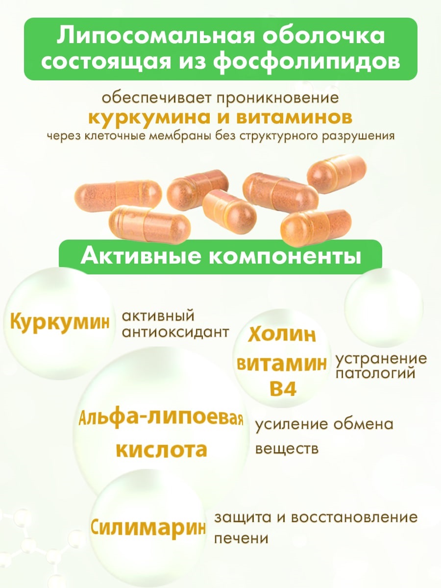 Комплекс для печени с силимарином, 60 капсул (Алтайские традиции, Nutricare Liposomal Curcumin)  Комплекс для печени с силимарином, 60 капсул (Алтайские традиции, Nutricare Liposomal Curcumin) фото 2