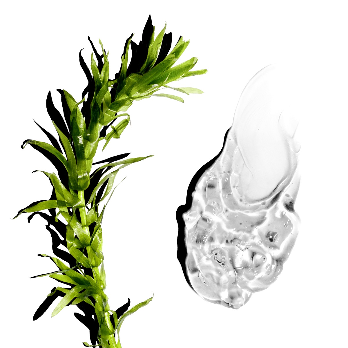 Скинга Гель-маска  с коллагеном и эластином для сияния кожи лица, 150 мл (Skinga, Face) фото 2