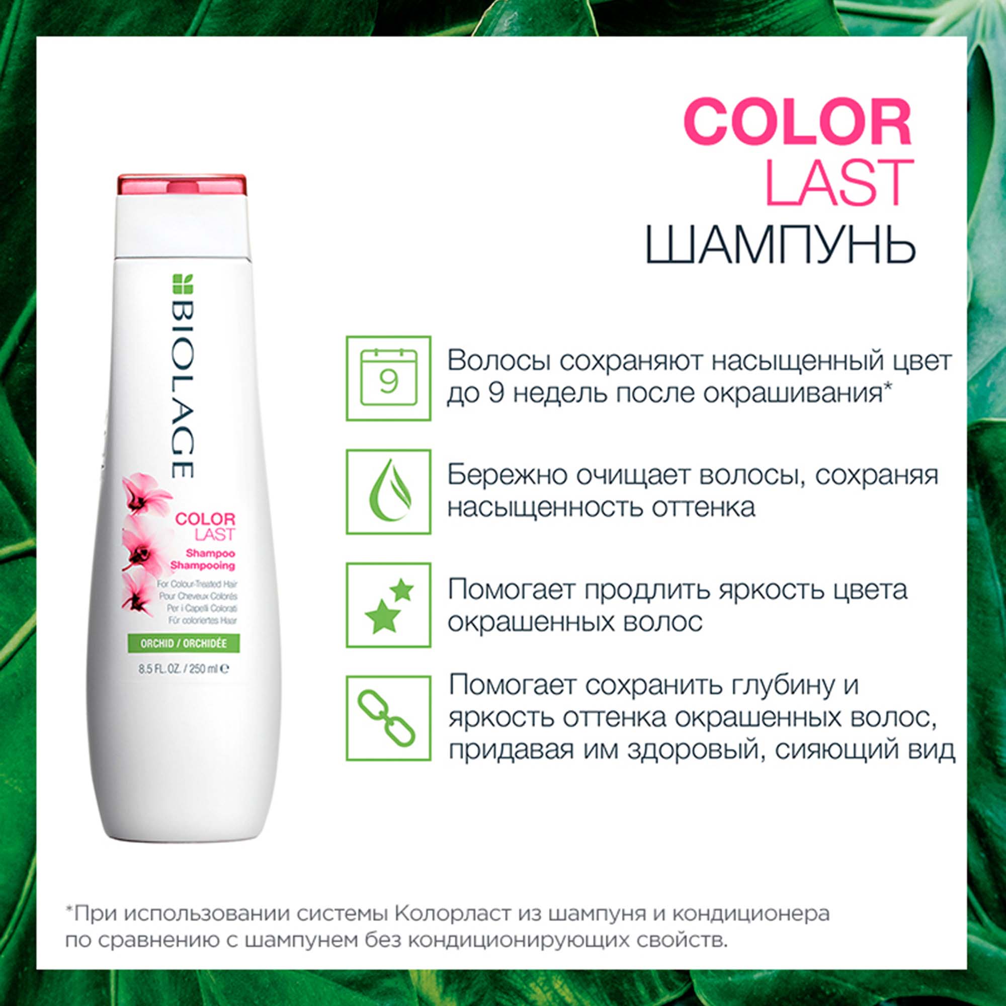 Матрикс Набор Colorlast для окрашенных волос: шампунь 250 мл + кондиционер 200 мл (Matrix, Biolage) фото 4