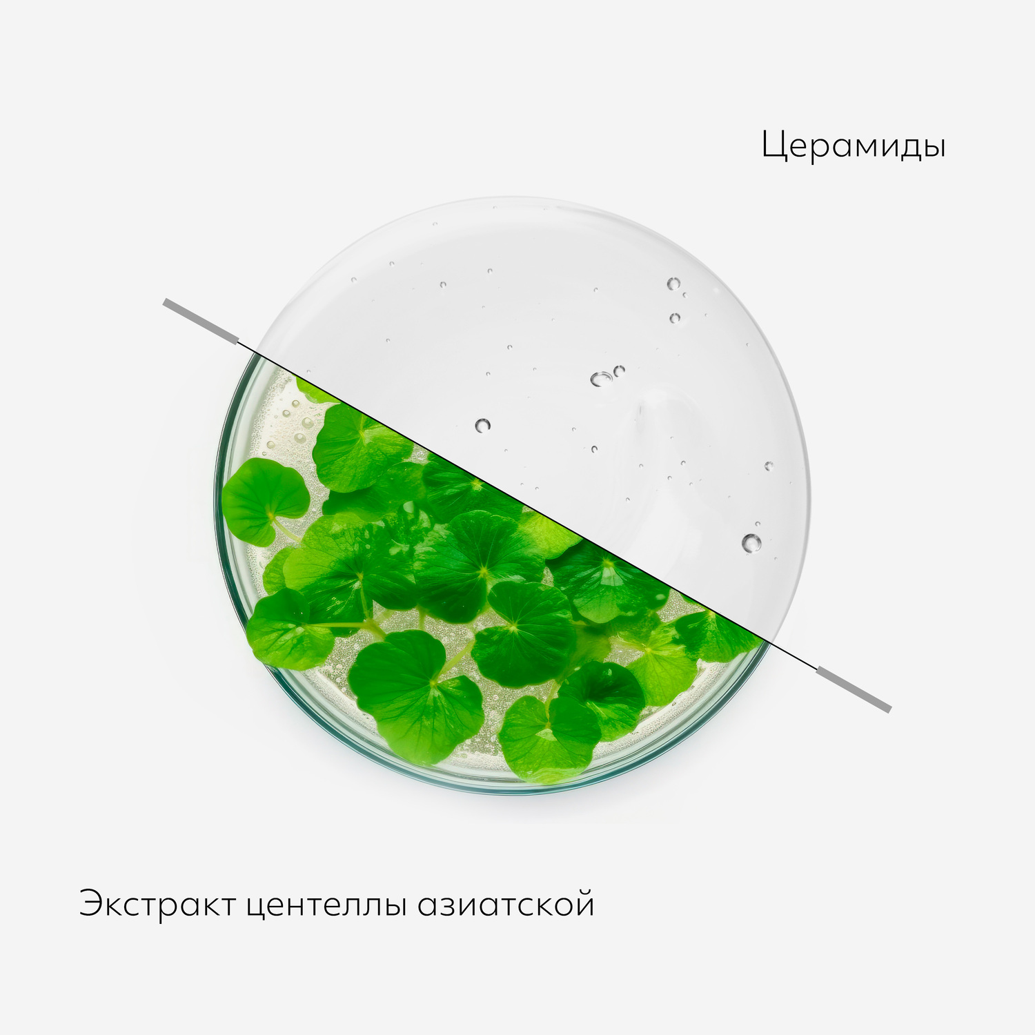 Миша Очищающее гидрофильное масло для чувствительной кожи Dust Off, 305 мл (Missha, Super Off) Миша Очищающее гидрофильное масло для чувствительной кожи Dust Off, 305 мл (Missha, Super Off) фото 3