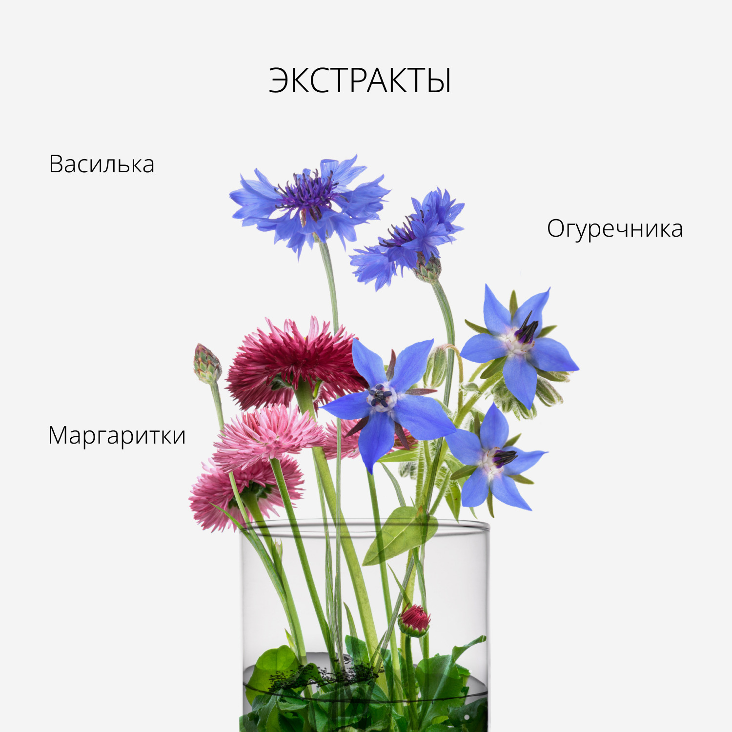 Миша Двухфазное средство для снятия макияжа с глаз и губ Perfect Lip&Eye Make-up Remover, 155 мл (Missha, Perfect) фото 4